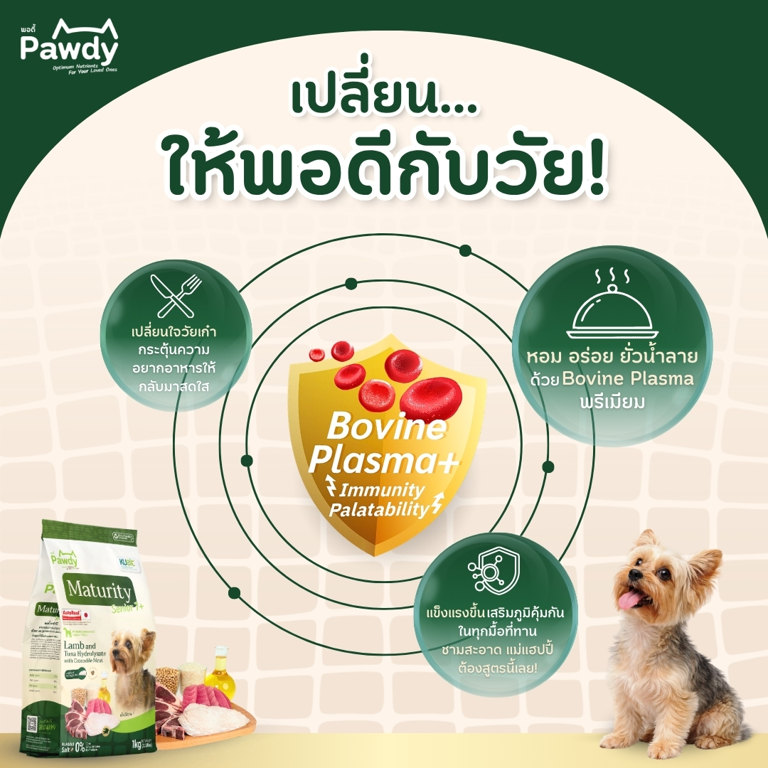 Pawdy อาหารสุนัขสูงวัยเกรดโฮลิสติก ใส่ Astaxanthin AstaReal™ สูตรแกะและปลา ผสมเนื้อจระเข้ สำหรับอายุ 7 ปีขึ้นไป - Image 6
