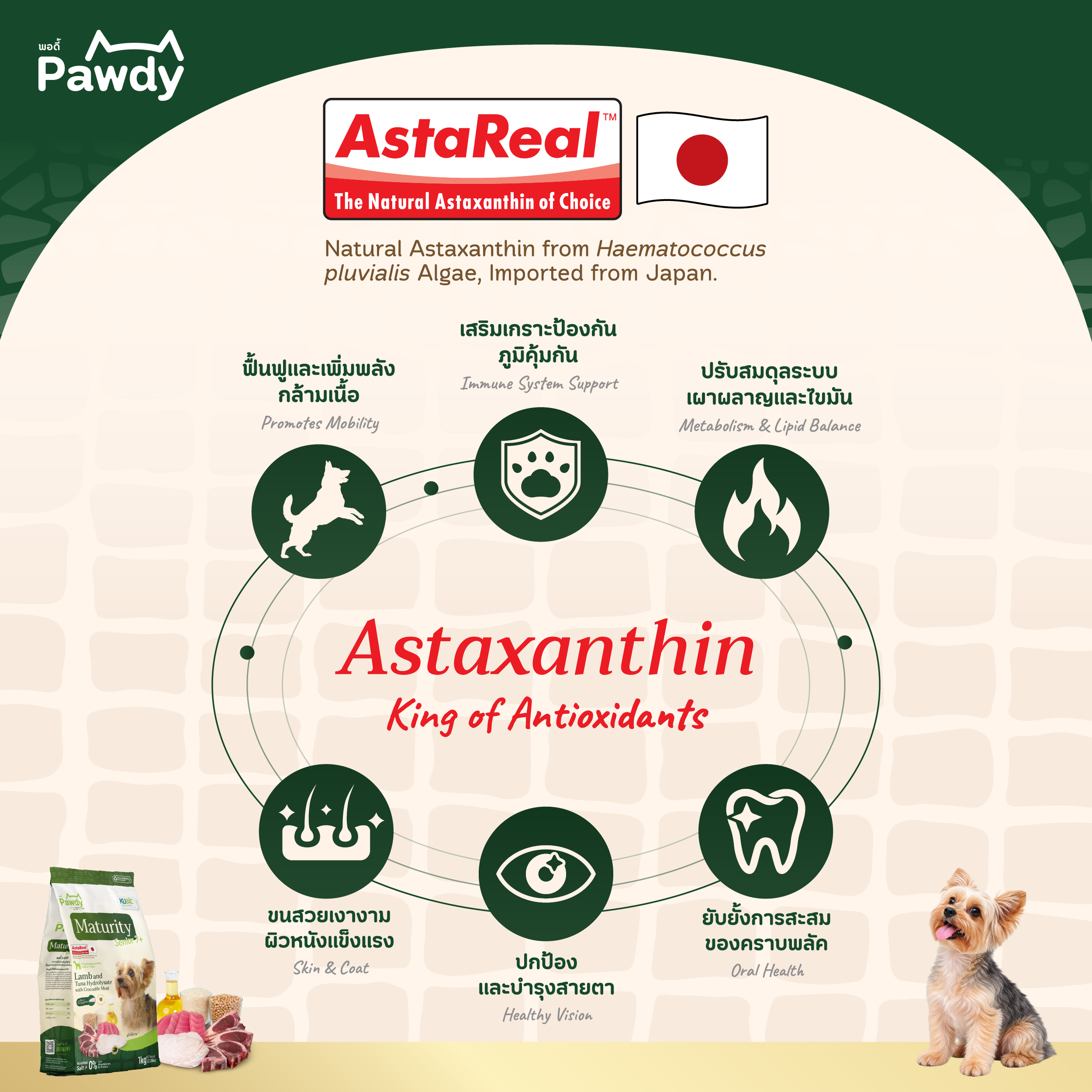 Pawdy อาหารสุนัขสูงวัยเกรดโฮลิสติก ใส่ Astaxanthin AstaReal™ สูตรแกะและปลา ผสมเนื้อจระเข้ สำหรับอายุ 7 ปีขึ้นไป - Image 4