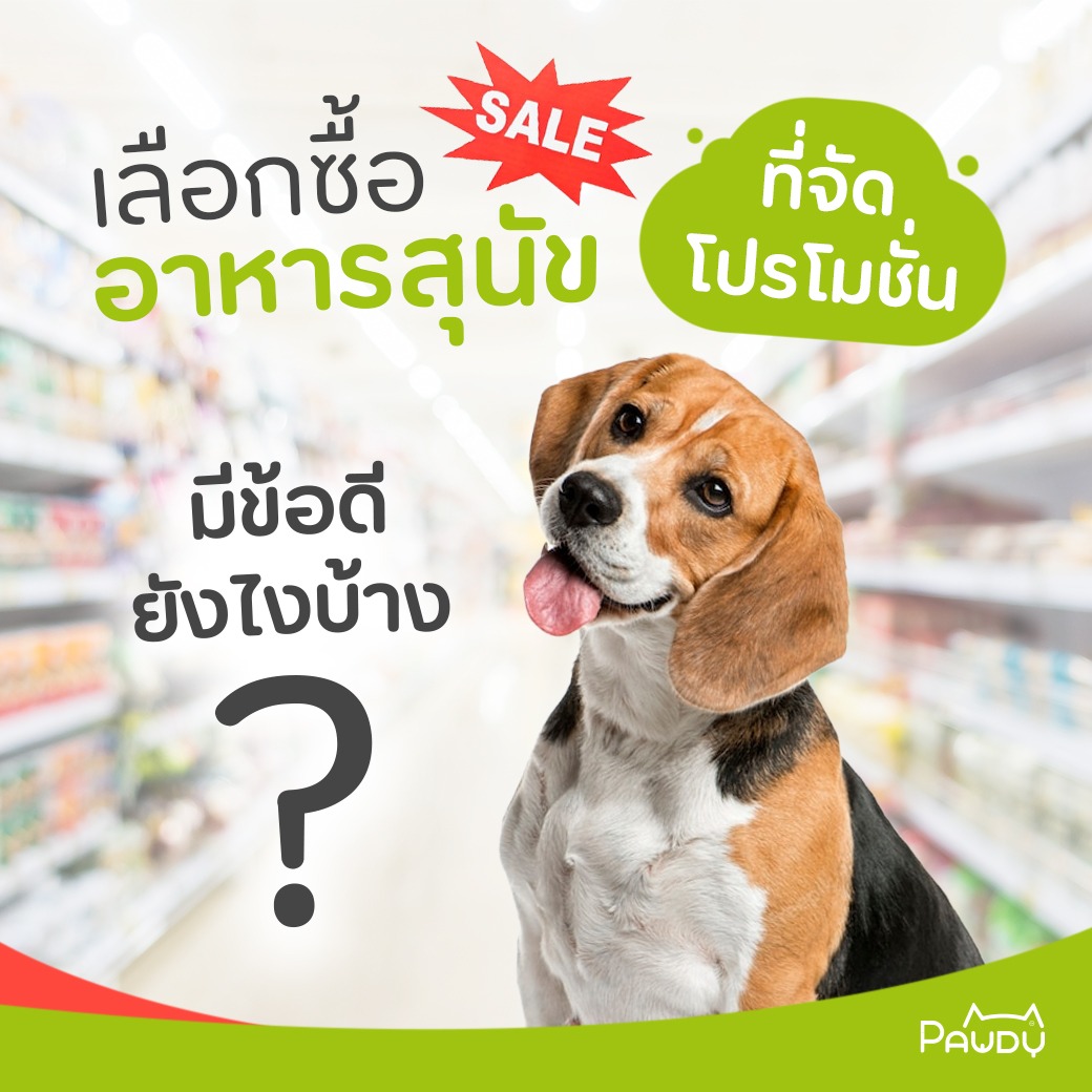 เลือกซื้ออาหารสุนัขที่จัดโปรโมชั่นมีข้อดียังไงบ้าง?