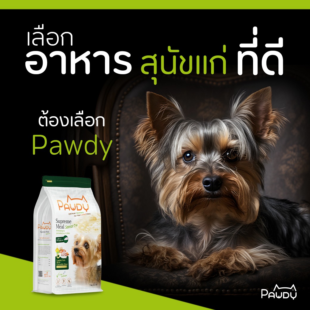 เลือกอาหารสุนัขแก่ที่ดี ต้องลองเลือก Pawdy 