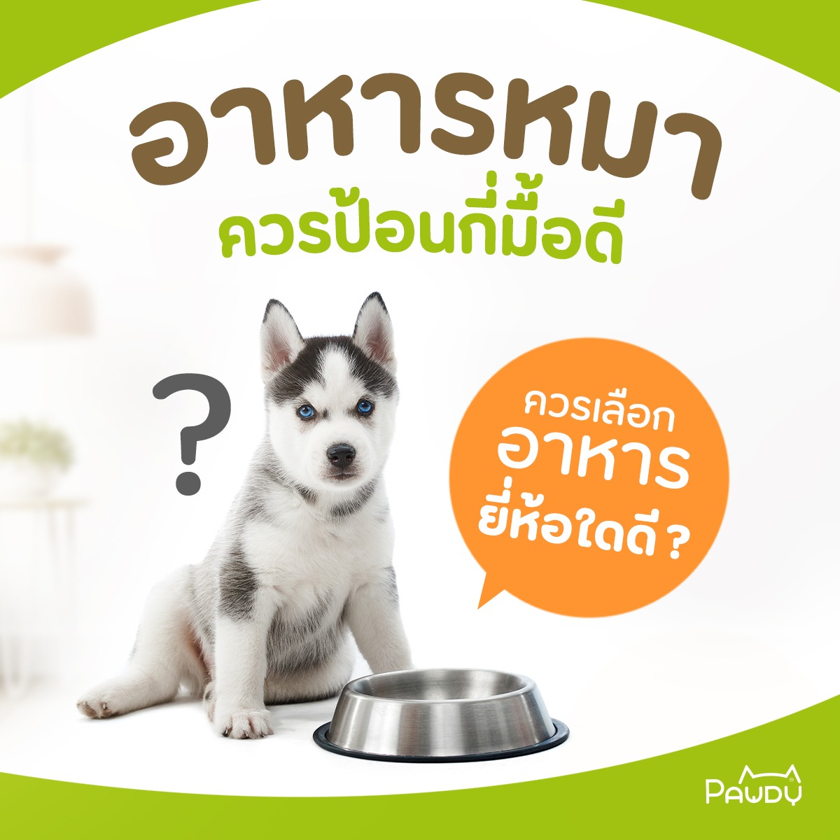 อาหารหมาป้อนกี่มื้อดี? แล้วควรเลือกอาหารยี่ห้อใดดี?