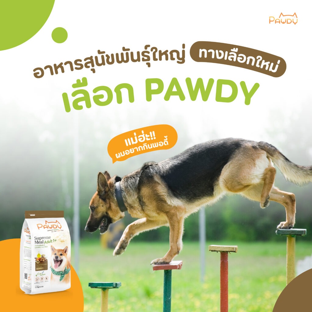 อาหารสุนัขพันธุ์ใหญ่ ทางเลือกใหม่ ลองเลือก Pawdy