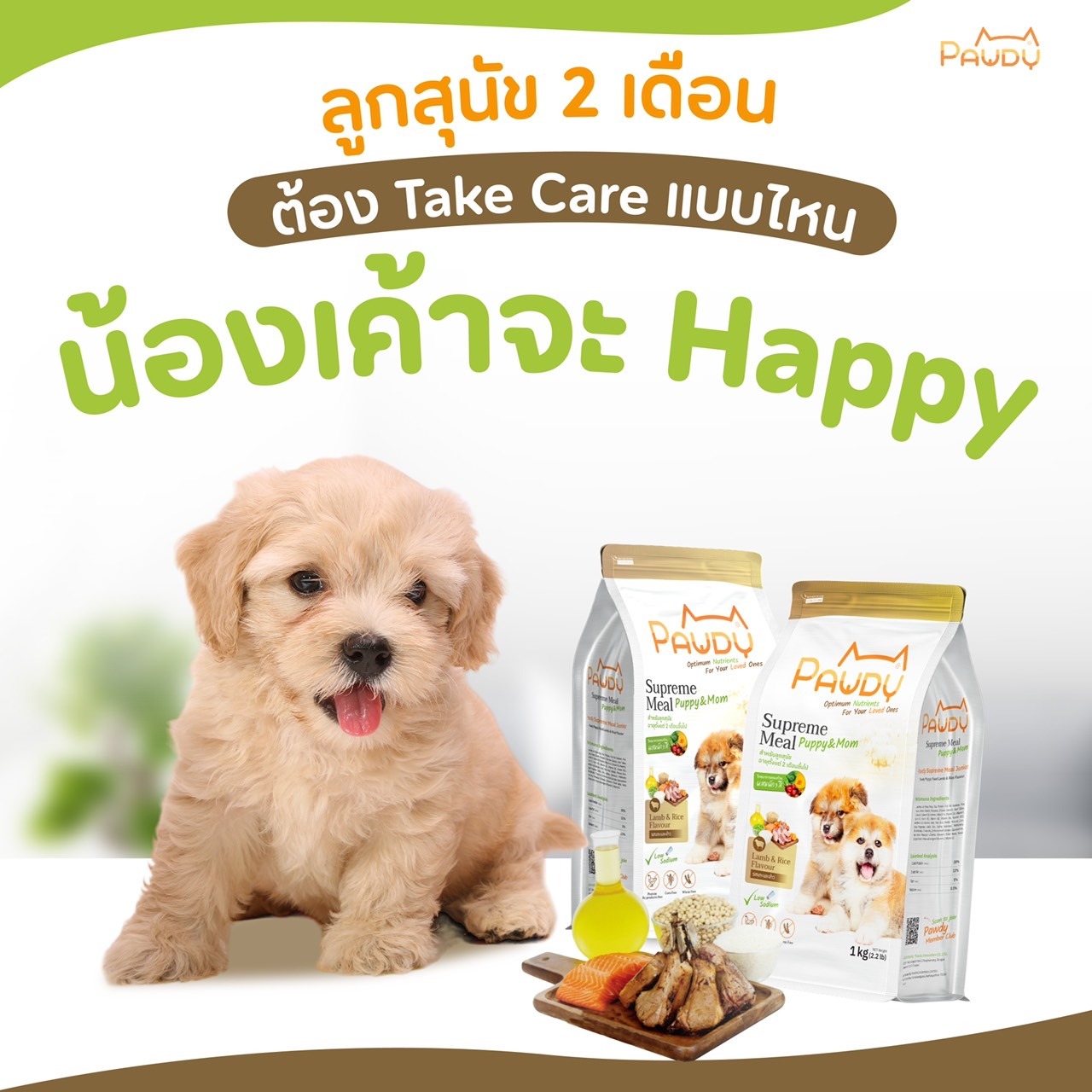 ลูกสุนัข 2 เดือน ต้อง take care แบบไหนน้องเค้าจะ Happy?