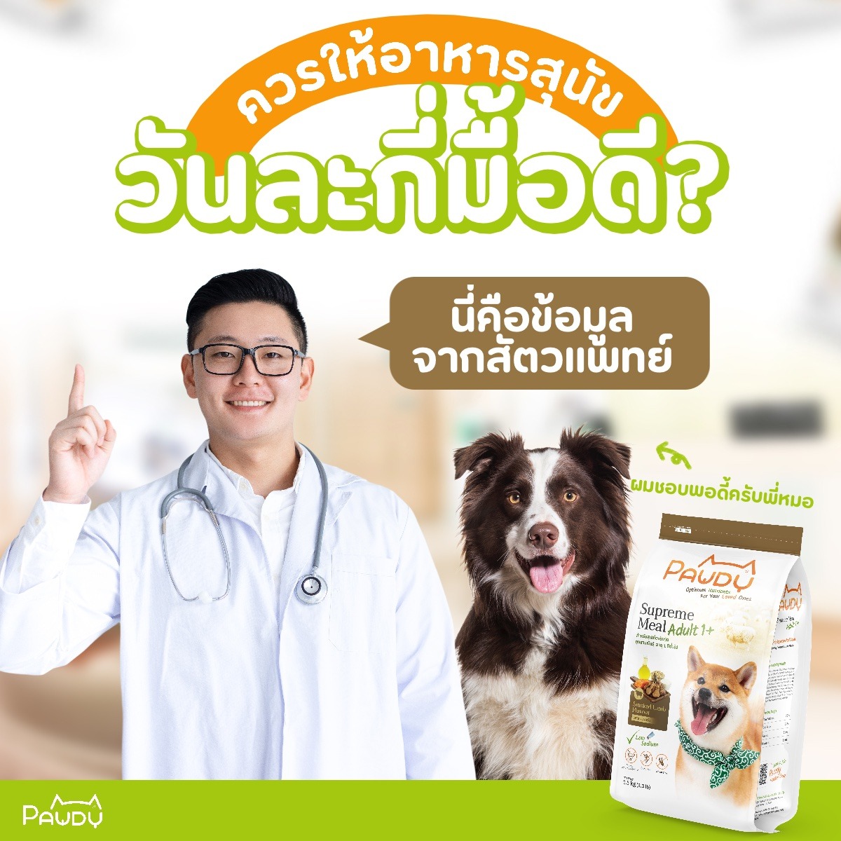 ควรให้อาหารสุนัขวันละกี่มื้อดี? นี่คือข้อมูลจากสัตวแพทย์