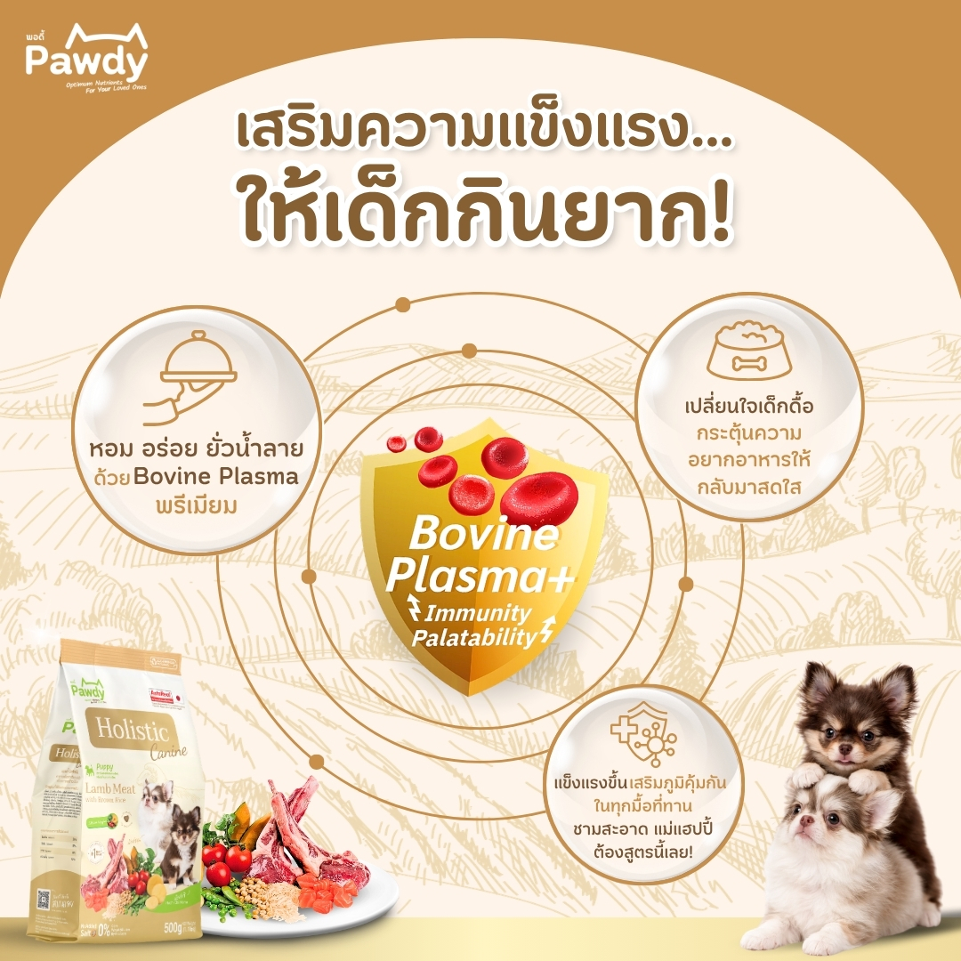 Pawdy อาหารลูกสุนัขเกรดโฮลิสติก ใส่ Astaxanthin AstaReal™ สูตรเนื้อแกะและข้าวกล้อง อายุ 2 เดือน–1 ปี - Image 9