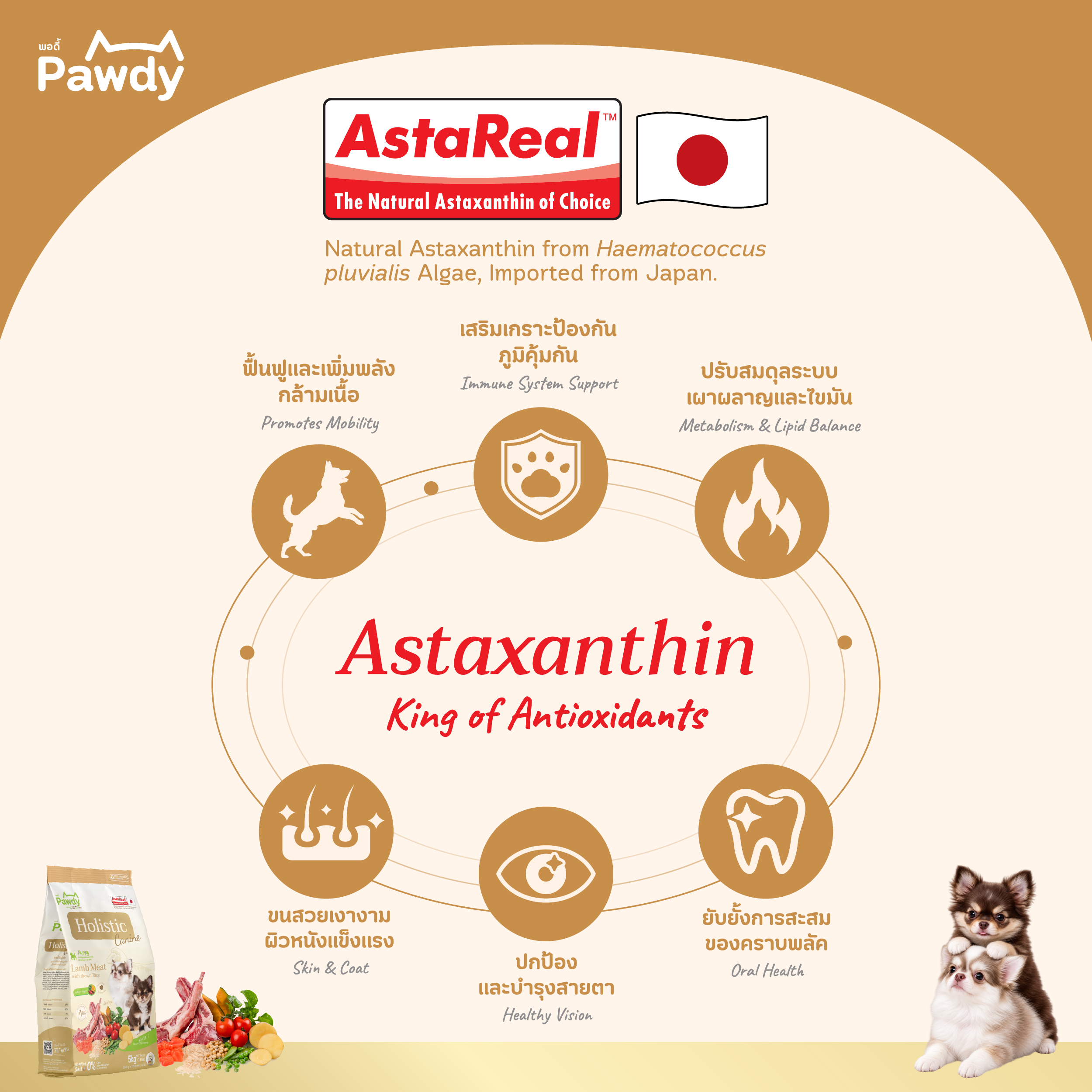 Pawdy อาหารลูกสุนัขเกรดโฮลิสติก ใส่ Astaxanthin AstaReal™ สูตรเนื้อแกะและข้าวกล้อง อายุ 2 เดือน–1 ปี - Image 5