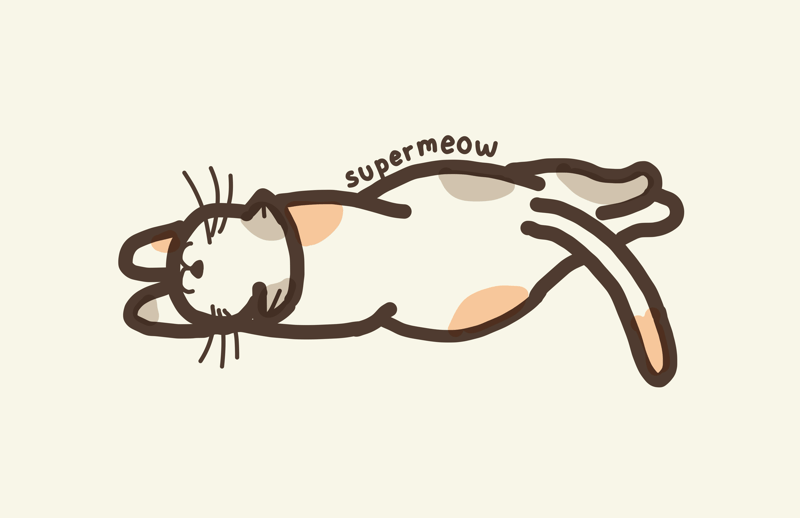 ท่าซูเปอร์เหมียว (Supermeow)