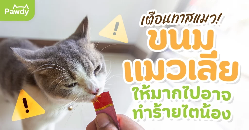 เตือนทาสแมว! ขนมแมวเลีย ให้มากไปอาจทำร้ายไตน้อง