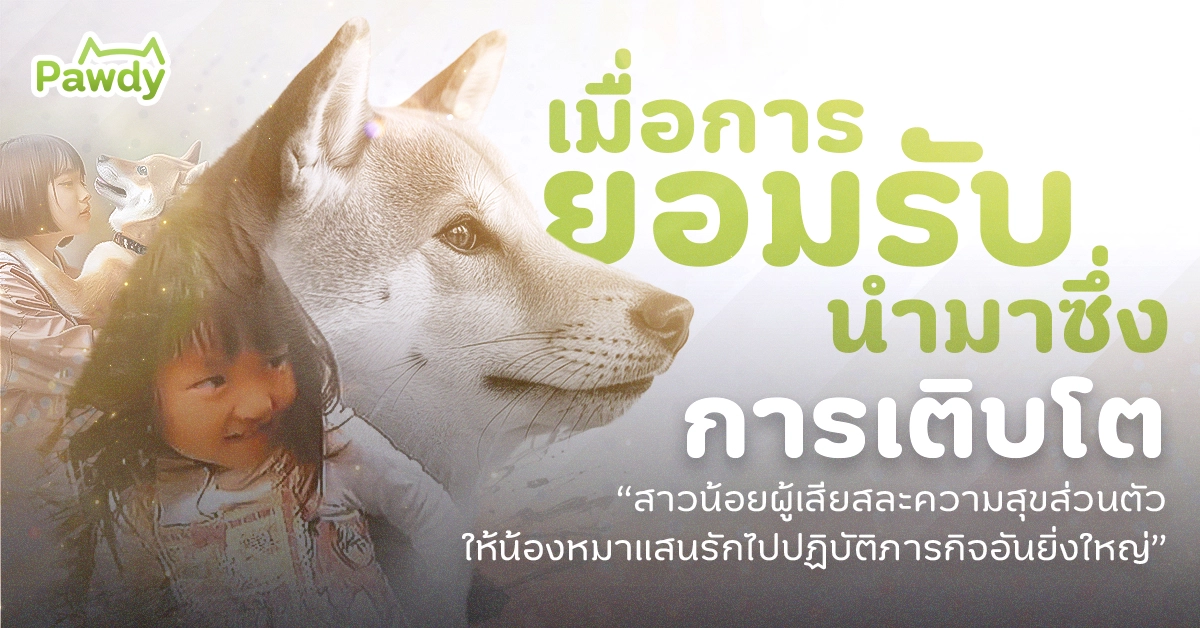 ก้าวผ่านการสูญเสียสัตว์เลี้ยง เรื่องราวของน้องนานาโกะและโคทาโร่