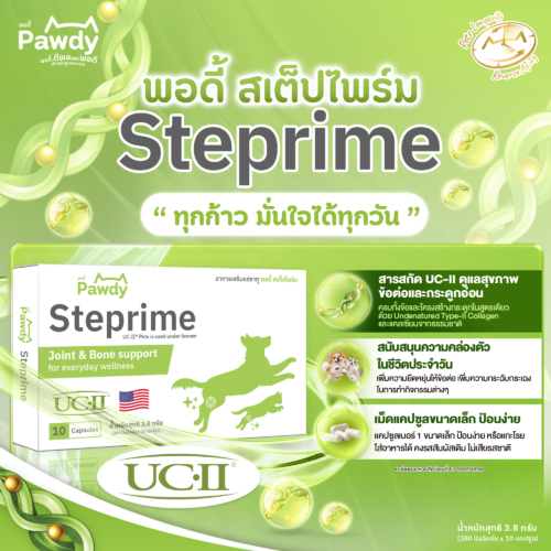 Pawdy Steprime