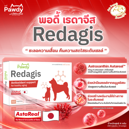 Pawdy Redagis